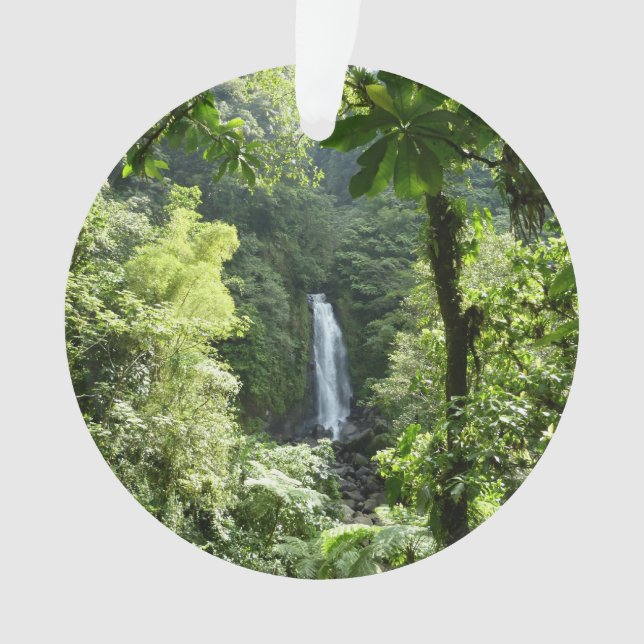 Trafalgar Falls Tropical Rainforest Photography Ornament (Front)