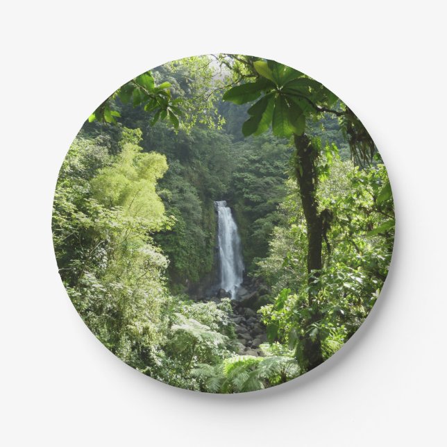 Trafalgar Falls Tropical Rainforest Photography Paper Plate (Front)