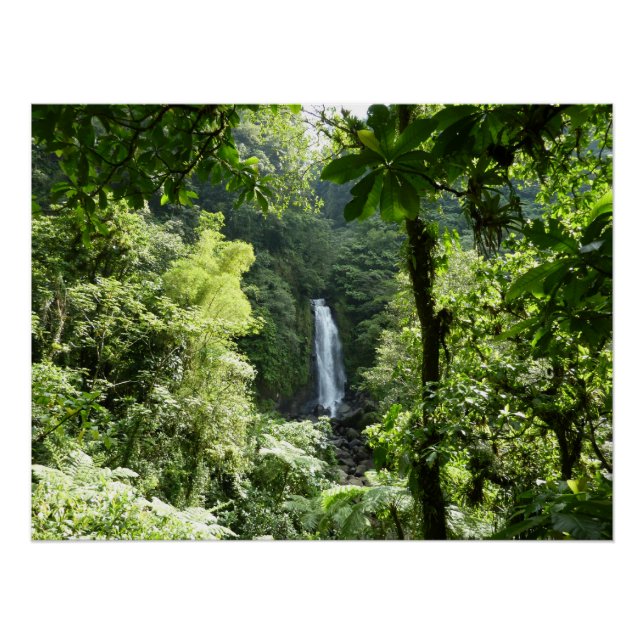 Trafalgar Falls Tropical Rainforest Photography Poster (Front)