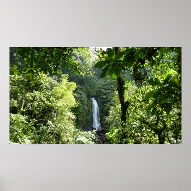 Trafalgar Falls Tropical Rainforest Photography Poster (Front)