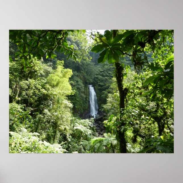 Trafalgar Falls Tropical Rainforest Photography Poster (Front)