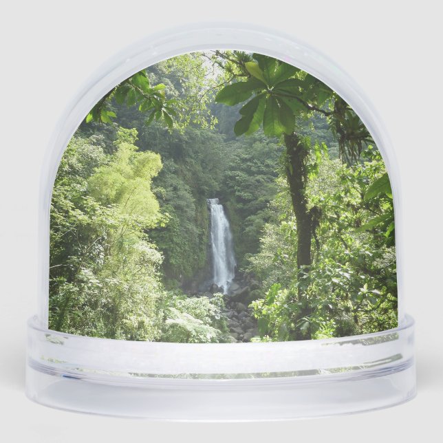 Trafalgar Falls Tropical Rainforest Photography Snowglobe (Front)