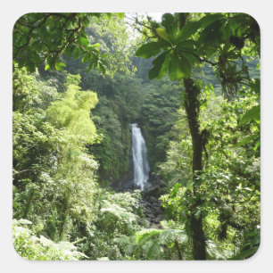 Trafalgar Falls Tropical Rainforest Photography Square Sticker