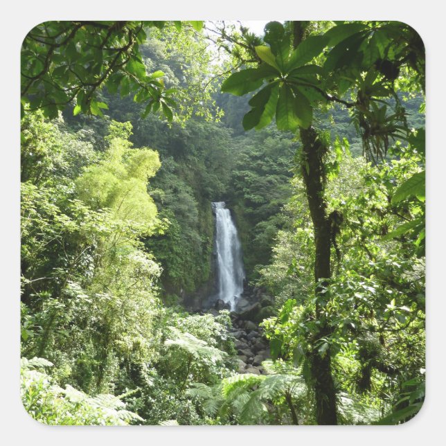 Trafalgar Falls Tropical Rainforest Photography Square Sticker (Front)