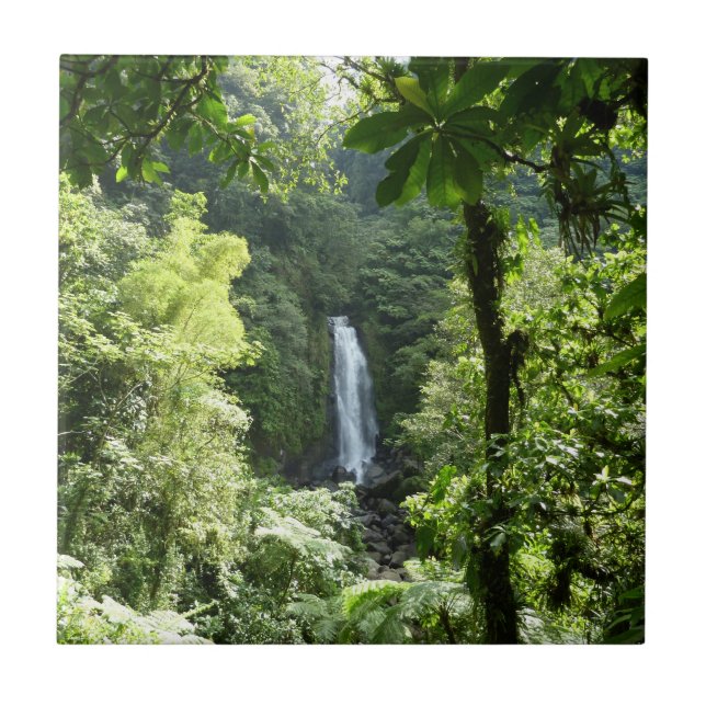Trafalgar Falls Tropical Rainforest Photography Tile (Front)