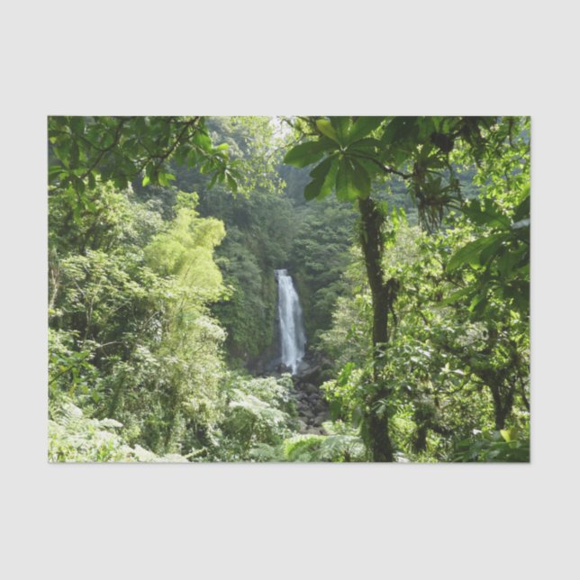 Trafalgar Falls Tropical Rainforest Photography Tissue Paper (Front)