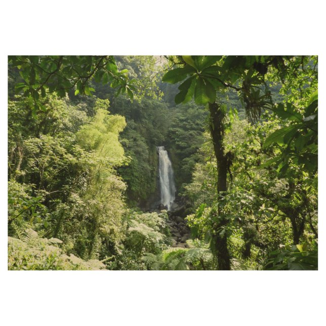 Trafalgar Falls Tropical Rainforest Photography Wood Poster (Front)