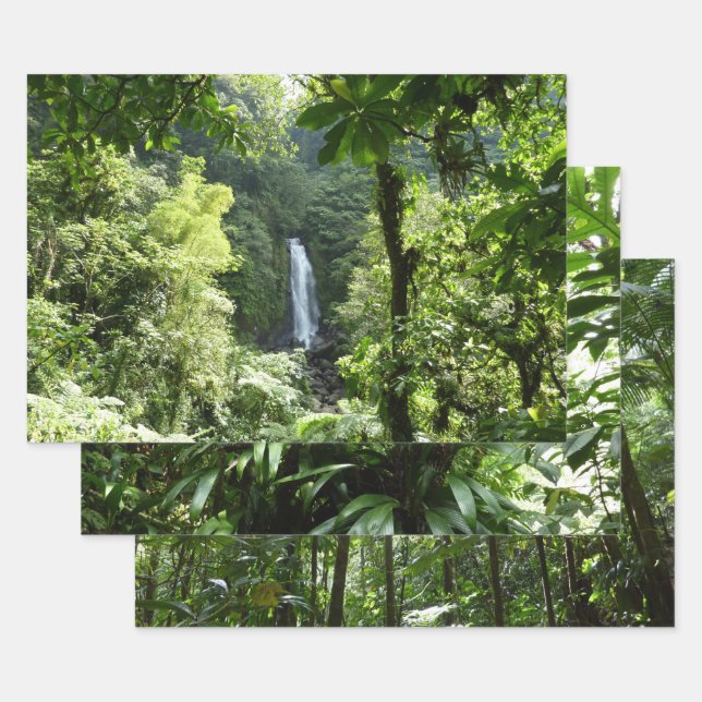 Trafalgar Falls Tropical Rainforest Photography Wrapping Paper Sheet (Set)