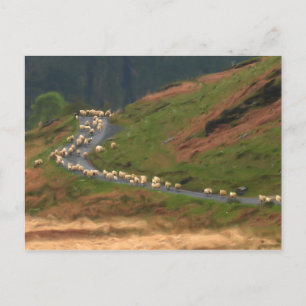 Traffic Jam Postcard