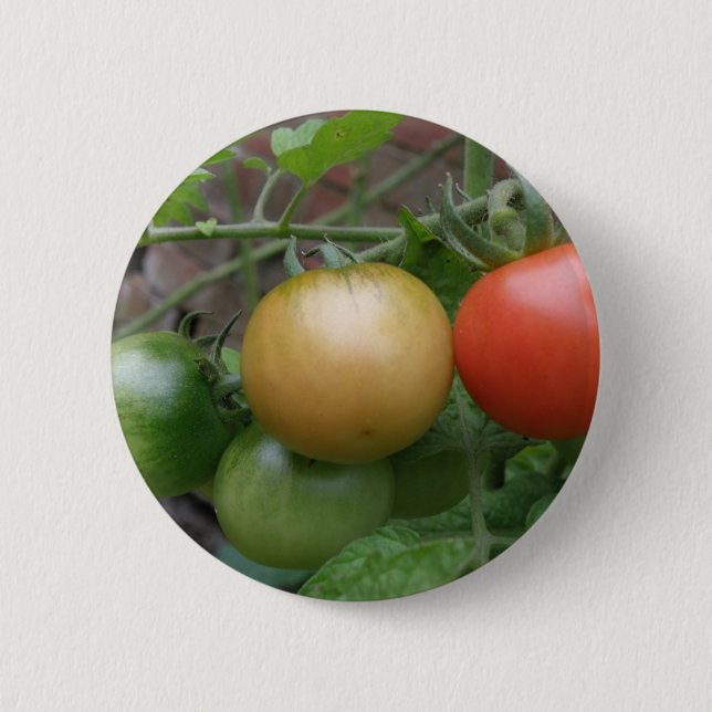Traffic Light Tomatoes Button (Front)