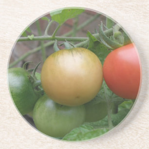 Traffic Light Tomatoes Coasters