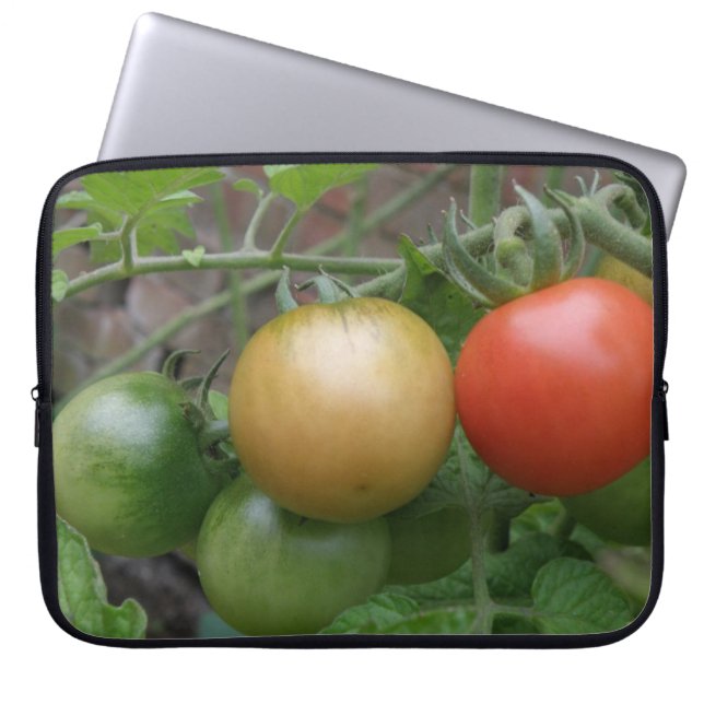 Traffic Light Tomatoes Laptop Bag (Front)
