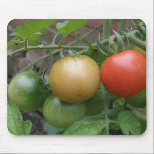 Traffic Light Tomatoes Mousepad