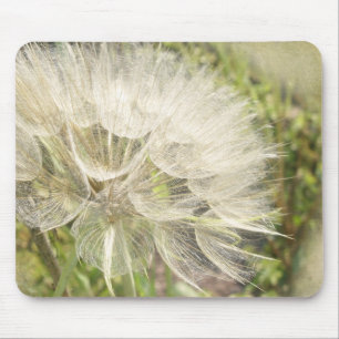 Tragopogon dubius - Yellow Goats Beard Mouse Mat