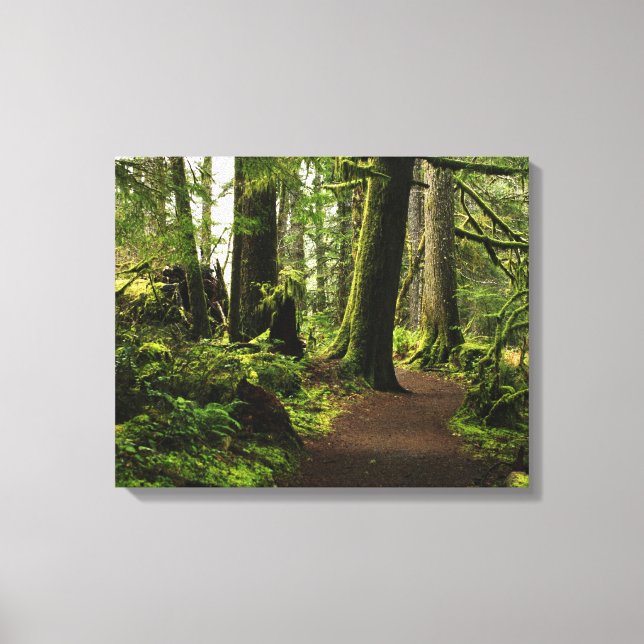 Trail Amongst Giants Canvas Print (Front)