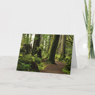 Trail Amongst Giants Card