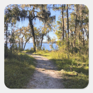 Trail By The River Square Sticker