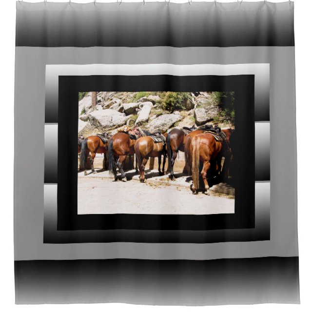 Trail Horses Shower Curtain (Front)