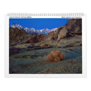 Trail Images Photography Calendar