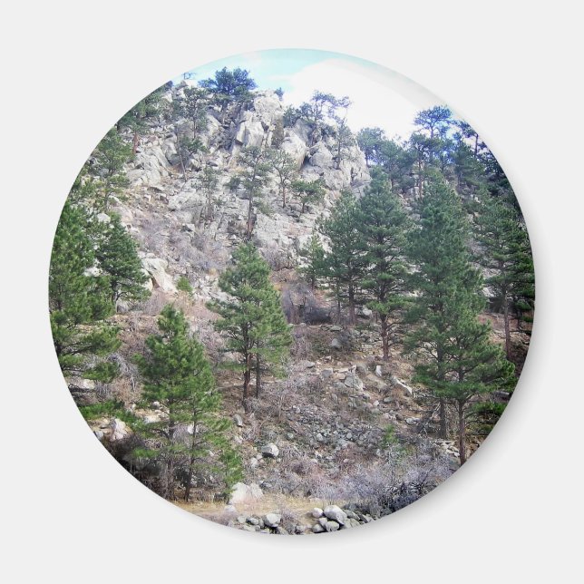 Trail in Jefferson County, Colorado Magnet (Front)