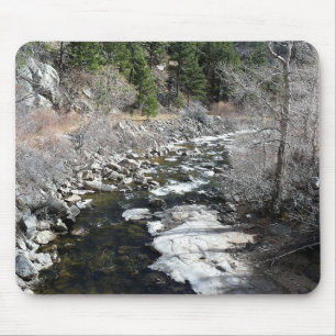 Trail in Jefferson County, Colorado Mouse Mat