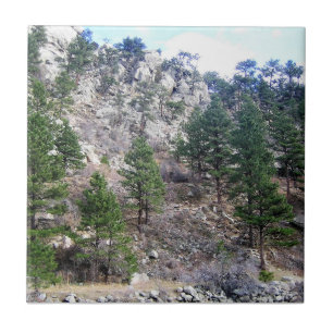 Trail in Jefferson County, Colorado Tile