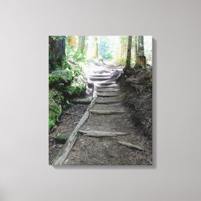 Trail in the Woods of Mt Rainier Canvas Print (Front)
