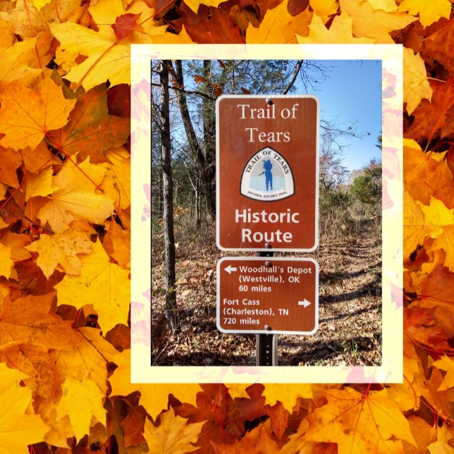 Trail of Tears Marker, Pea Ridge, Missouri Postcard (Creator Uploaded)