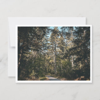 Trail Postcard