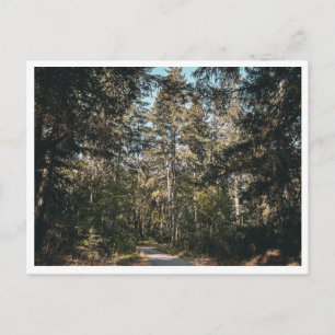 Trail Postcard