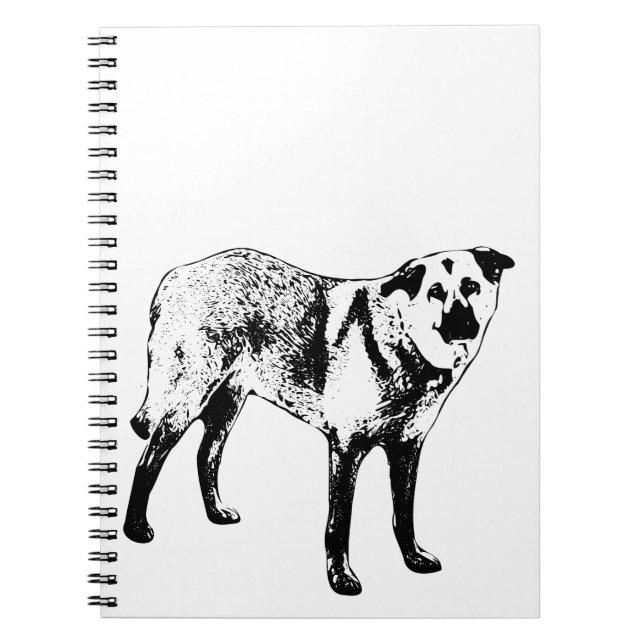 trail-quiet notes, tibetan mix notebook (Front)