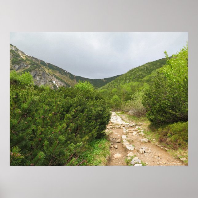 Trail - Tatras Slovakia Poster (Front)