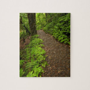 Trail Through the Forest Jigsaw Puzzle
