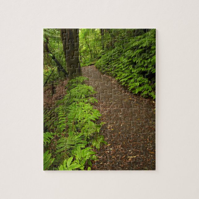 Trail Through the Forest Jigsaw Puzzle (Vertical)