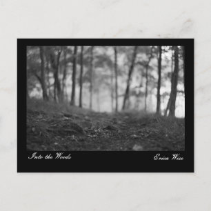 Trail through the Woods Postcard