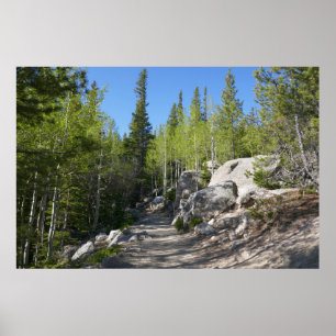 Trail to Alberta Falls Poster