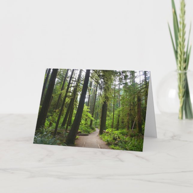 Trail to Marymere Falls II Card (Front)
