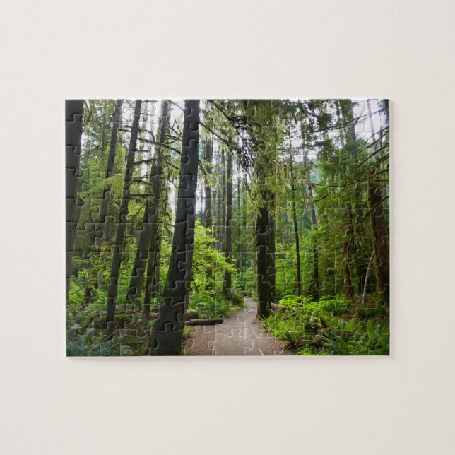 Trail to Marymere Falls II Jigsaw Puzzle (Horizontal)
