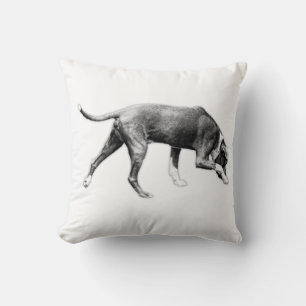 Trail Whisper – Calm Momentum Cushion