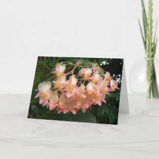 Trailing Begonia Card