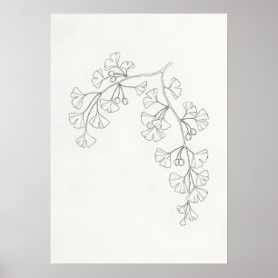 Trailing Ginkgo Line Art Poster