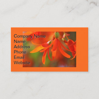 Trailing Orange Begonia Business Card