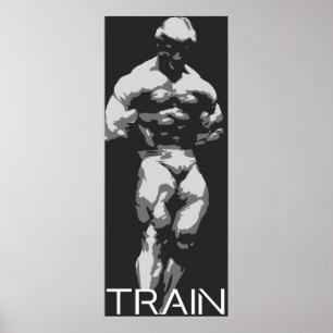 Train #5 (Platz) Poster