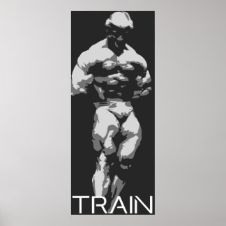 Train #5 (Platz) Poster