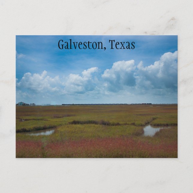 Train and Marshes in Galveston, Texas Postcard (Front)
