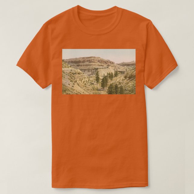 train in the Grand Canyon T-Shirt (Design Front)