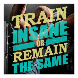 Train Insane Motivational Poster