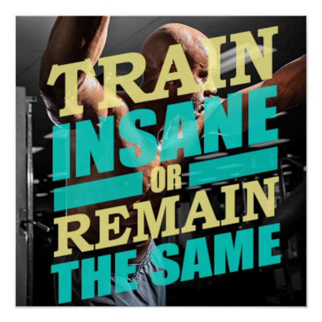 Train Insane Motivational Poster (Front)