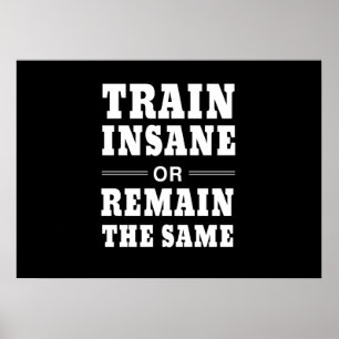 Train Insane or Remain the Same Poster