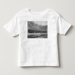 Train on the Burlington and Missouri Toddler T-Shirt